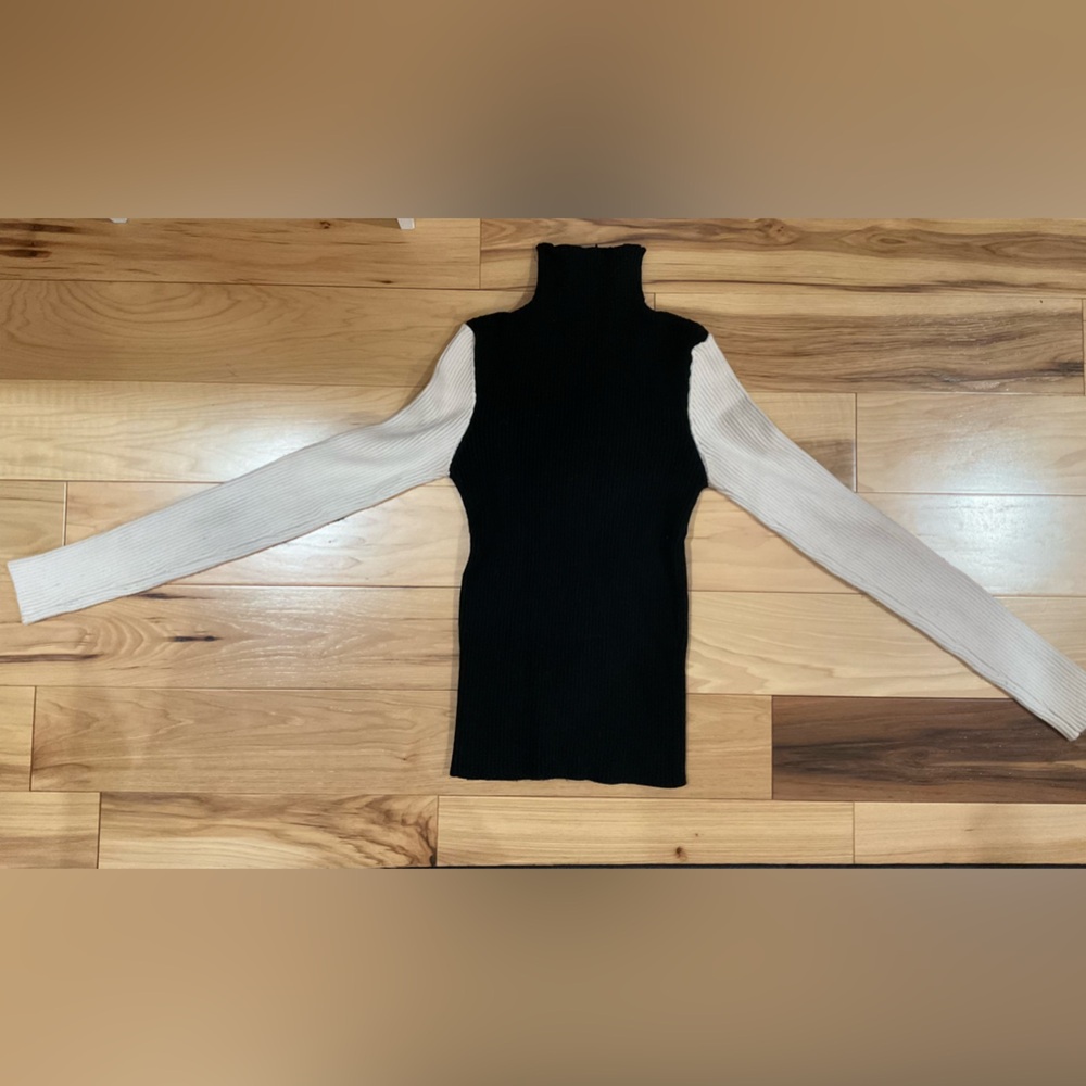 Zara turtleneck sweater